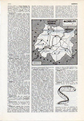LAMINA V12109: Mapa de Morelos en Mejico y morela