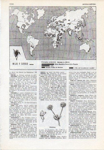 LAMINA V12072: Mapa principales productores de mijo y sorgo en el mundo