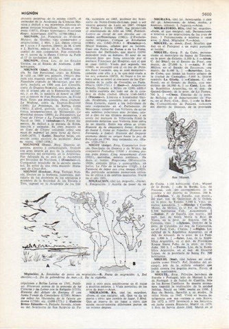 LAMINA V12071: Migracion y estatua de San Miguel