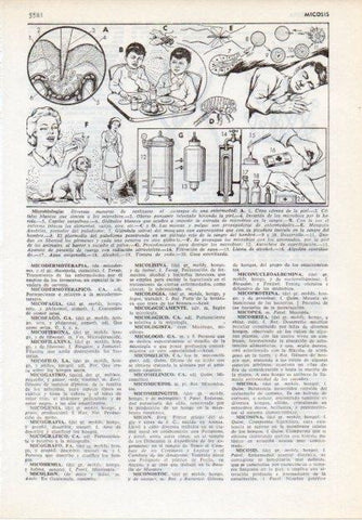 LAMINA V12067: Microbiologia