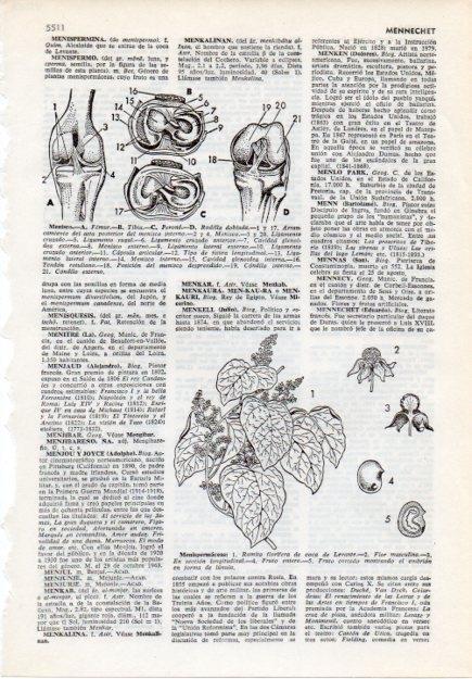 LAMINA V12055: Menisco y menispermaceas