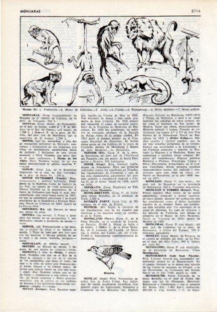 LAMINA V12099: Especies de monos