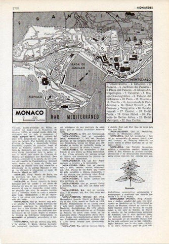 LAMINA V12095: Plano de Monaco 