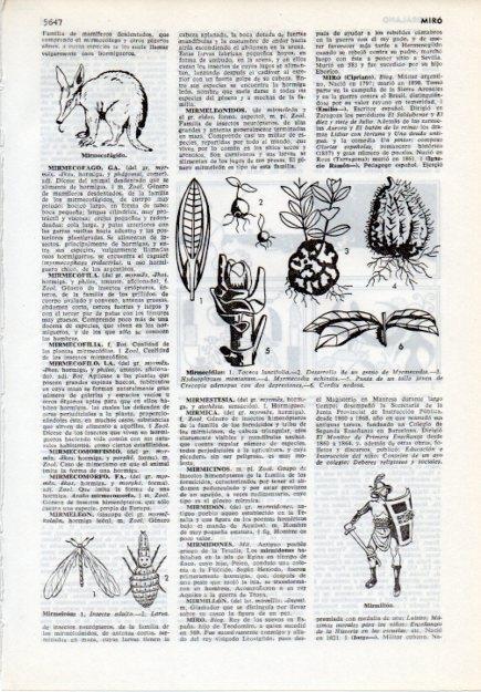 LAMINA V12082: Mirmecofilas y mirmillon