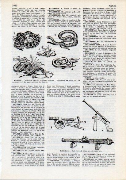 LAMINA V12284: Tipos de culebras y culebrinas