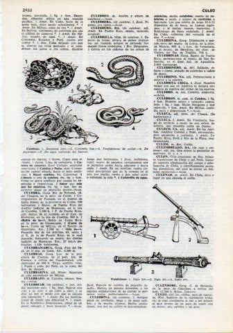 LAMINA V12284: Tipos de culebras y culebrinas