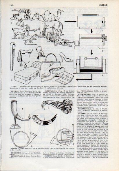 LAMINA V12282: Proceso fabricacion del cuero y tipos de cuernos