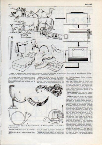 LAMINA V12282: Proceso fabricacion del cuero y tipos de cuernos