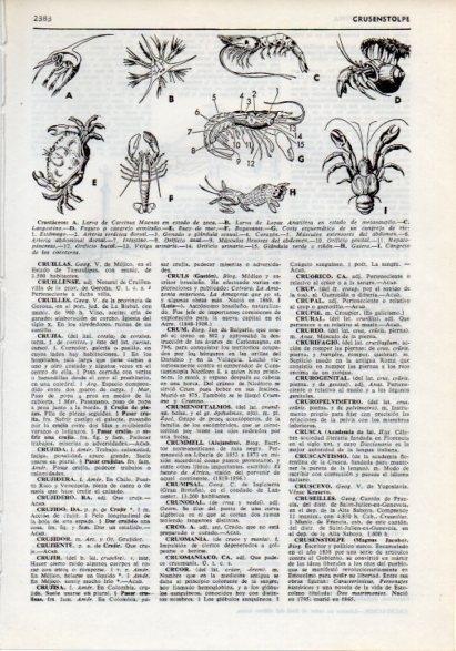 LAMINA V12273: Crustaceos