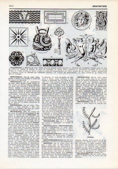 LAMINA V12187: Tipos de ornamentacion