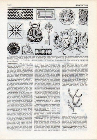LAMINA V12187: Tipos de ornamentacion