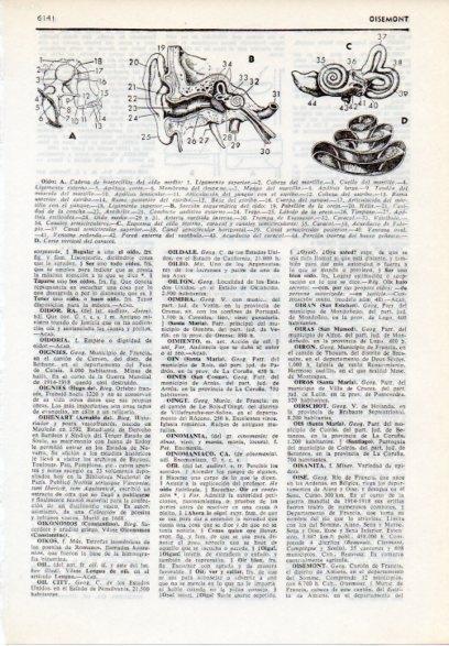 LAMINA V12175: Partes del oido