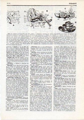 LAMINA V12175: Partes del oido