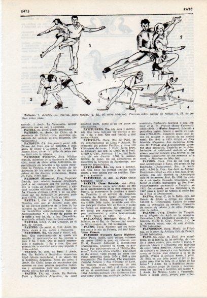 LAMINA V12219: Tipos de patinaje