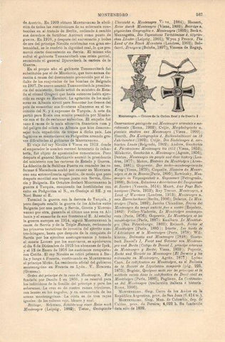 LAMINA V12820: Cruces de la Orden Real y de Danilo I de Montenegro