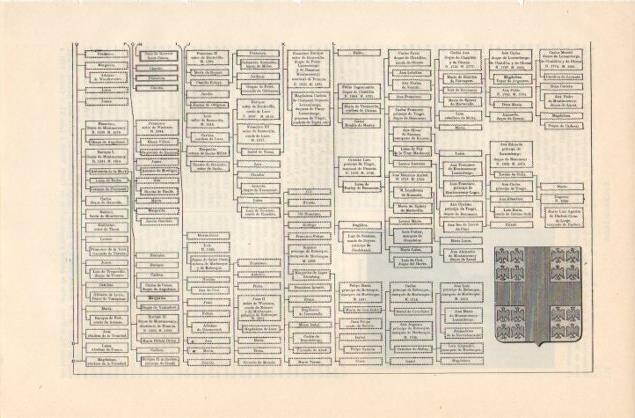 LAMINA V12863: Arbol genealogico de la Casa de Montmorency