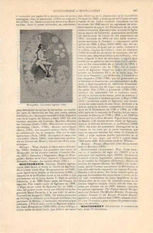 LAMINA V12851: Caricatura de Montgolfier de 1784