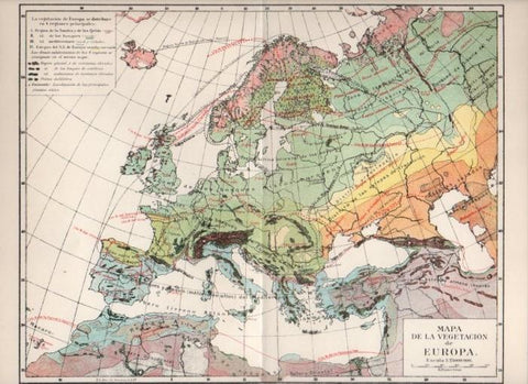 LAMINA V13035: Mapa de la vegetacion de Europa