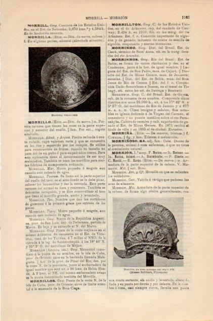 LAMINA V12946: Morrion de Venecia