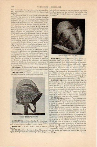 LAMINA V12945: Morrion español siglo XVI
