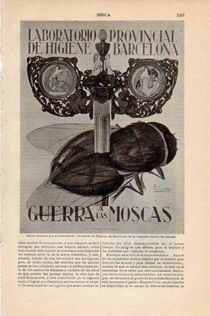 LAMINA V12968: Cartel del Laboratorio de Higiene de Barceloan contra las moscas