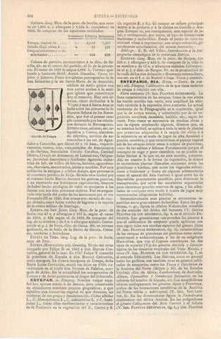 LAMINA V12614: Escudo de Estepa