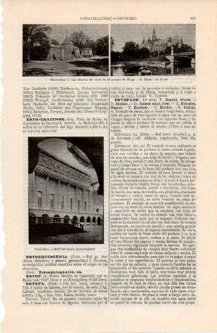LAMINA V12626: Museo del Norte y Ayuntamiento de Estocolmo