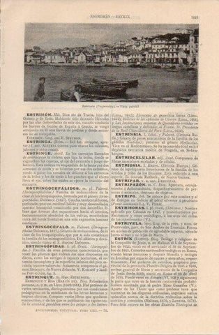 LAMINA V12641: Vista de Estrivela