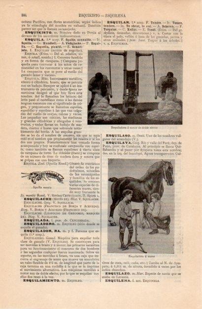 LAMINA V12544: Esquiladora 