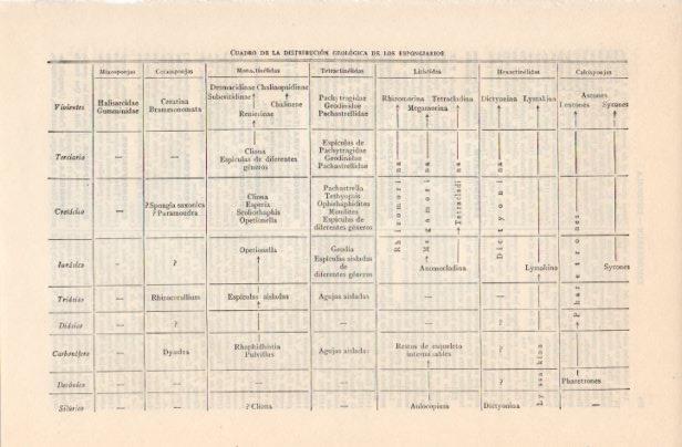 LAMINA V12532: Distribucion geologica de los espongiarios