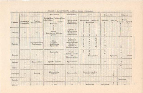 LAMINA V12532: Distribucion geologica de los espongiarios