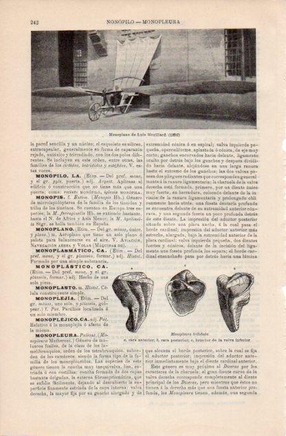 LAMINA V12745: Monoplano de Luis Mouillard 1896