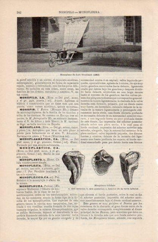 LAMINA V12745: Monoplano de Luis Mouillard 1896