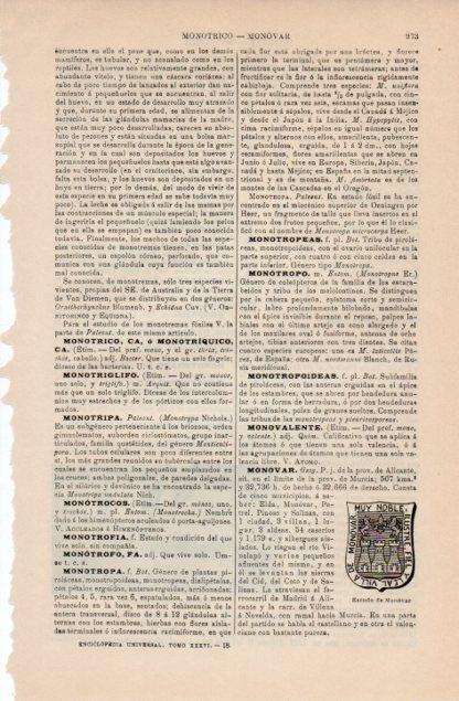 LAMINA V12746: Escudo de Monovar