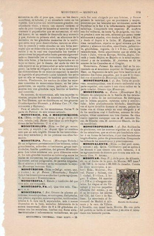 LAMINA V12746: Escudo de Monovar