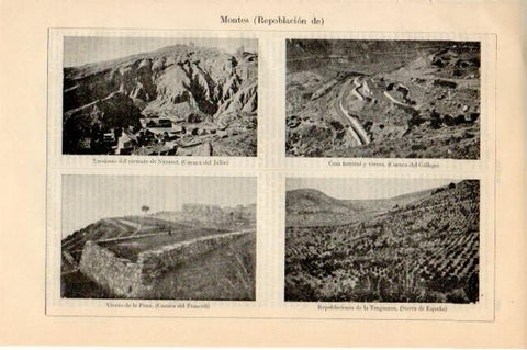LAMINA V12795: Repoblacion de montes en España