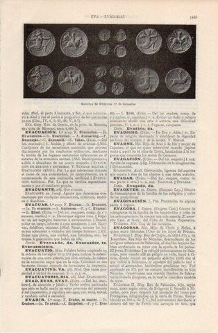 LAMINA V12691: Monedas de Evagoras II de Salamina
