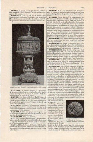 LAMINA V12688: Relicario de San Euticio