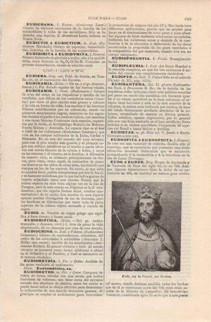 LAMINA V12665: Eudo rey de Francia, por Steuben
