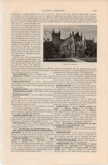 LAMINA V12699: Catedral de Exeter