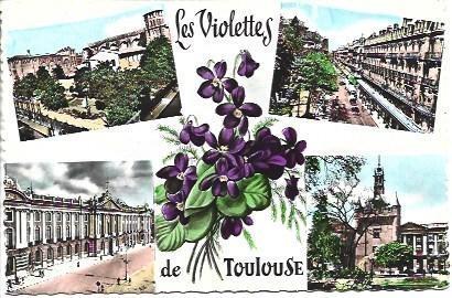 POSTAL L04225: Jardin del Museo de Toulouse