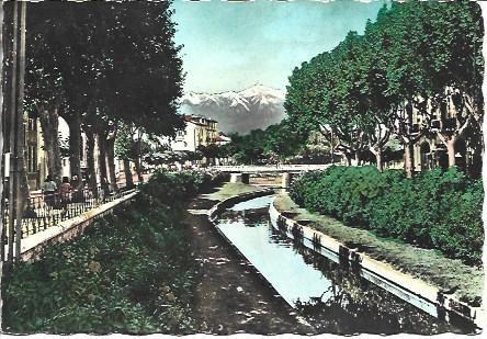 POSTAL L04241: Les Quais Fleurs en Perpiñan