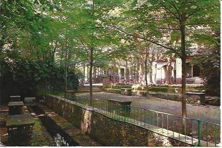POSTAL L03917: Fuente Moixina en Olot