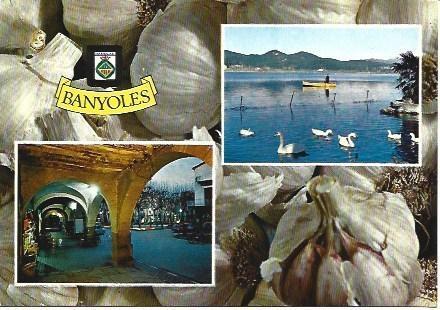 POSTAL L03913: Vistas de Banyoles