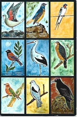 POSTAL L04056: Esmaltes de pajaros de El Pedregal en Bellaterra