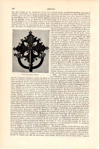 LAMINA V13430: Cruz abisinia en Museo Vaticano