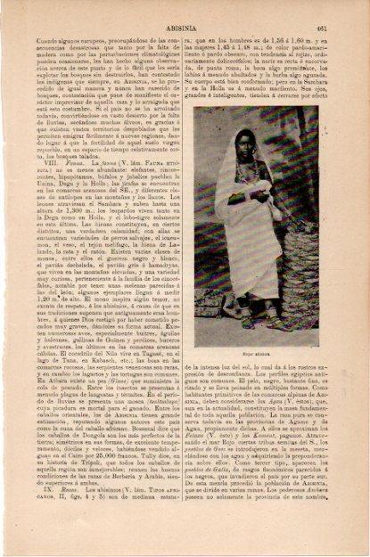 LAMINA V13427: Mujer de Abisinia