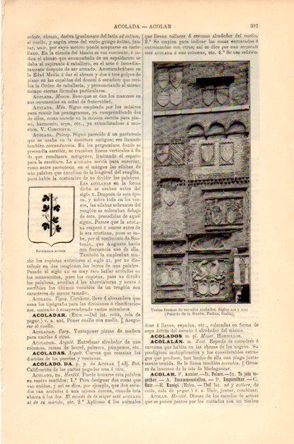 LAMINA V13523: Escudos acolados siglos XII y XIII