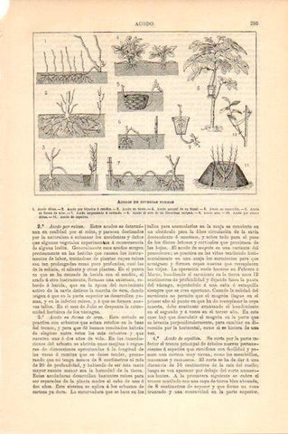 LAMINA V13522: Acodos de diversas formas