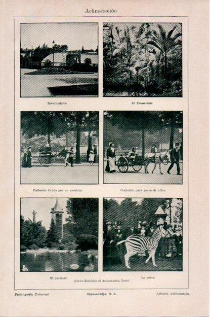 LAMINA V13521: Jardin Zoologico de Aclimatizacion de Paris